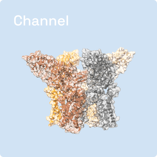 Channel